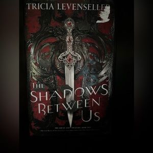 Shadow Between Us book